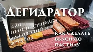 как сделать  вкусную пастилу или мы купили дегидратор