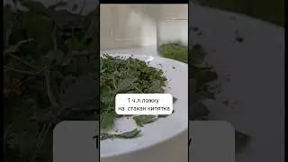 🌿 Чистотел - полезно ...но очень осторожно!