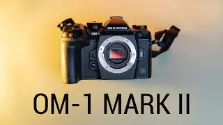 OM-1 MARK II und OM 150-600mm Objektiv Review