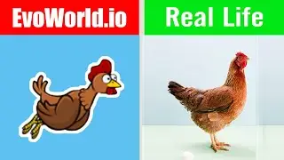 EvoWorld.io Vs Real Life (FlyOrDie.io) #2