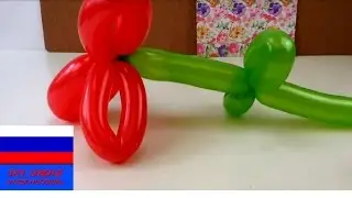 Flower from two balloons video tutorial