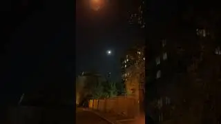 🦊Лисий Вой🦊
