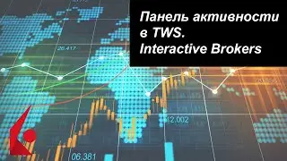 Панель активности  в TWS.  Interactive Brokers