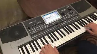 Топал бар Korg pa900