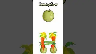 H is for honeydew 蜜瓜
