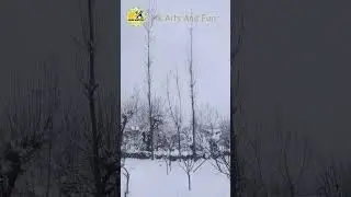 Snowfall In Kashmir 2024 | Finally Kashmir Received Fresh Snowfall | #shorts #snowfall #viral