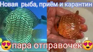 А у нас пополнение и отправочки.