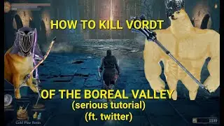 How to kill Vordt but I follow twitter's advice