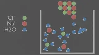 Dissolving Salt into Water Animation