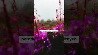Przywieź ciekawsze zdjęcia z gór! #poradnik #viral #fotografia #tatry