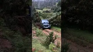 #offroad #thar #monster #climbing like a mountain goat