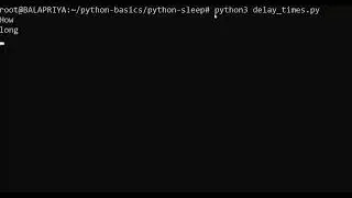 Python delay sleep