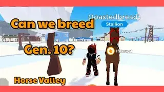 Generation 10 crossbreed Breedable or not? | Horse Valley 2 