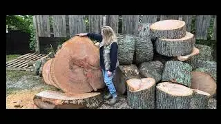 The PONDEROSA Episode 03 First Section of Firewood Completed