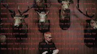 Sega Bodega - Deer Teeth (Lyric Video)