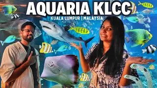 Aquaria KLCC | Things To Do in Kuala Lumpur | Best Aquarium in Malaysia