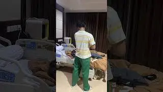 PAPABI HENDONG BABY L