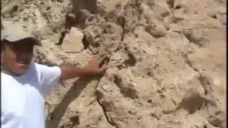 رحلة مدرسية الى جبل الدخان سنة 2006م