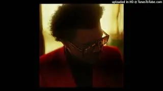 The Weeknd - After Hours (Acapella)