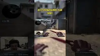 Degsterа выгнали из Team Spirit 