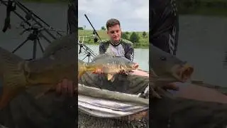 #carpfishing #бойлы #fishing #carp #карповаяловля #рыбалка #карповаярыбалка #карпфишинг #nature