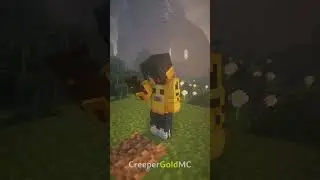 Average types of Minecraft SMP players: