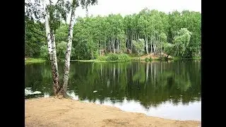 Березоньки березки