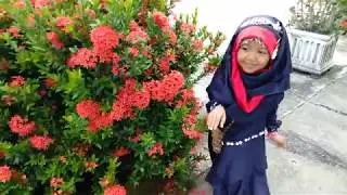 Toy Kids Anak Ceria Bisa Dimana Saja