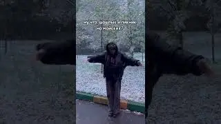 ПРОРОЧЕСТВО ПЕСНИ СБЫЛОСЬ 🤯