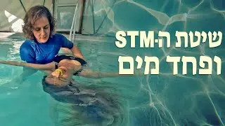 STM: שיטה לטיפול בפחד מים 99% הצלחה