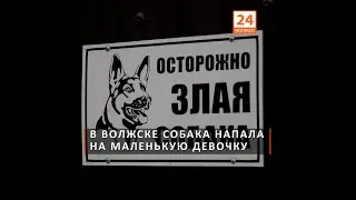 В Волжске собака напала на маленькую девочку