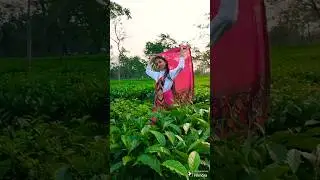 Assamese new reels ❤️❤️ trending assamese shorts ❤️❤️ viral shorts
