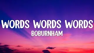 Bo Burnham - WORDS,WORDS,WORDS (Lyrics) B*tchesand hoes don't existcuz the hoes know bo's a feminist