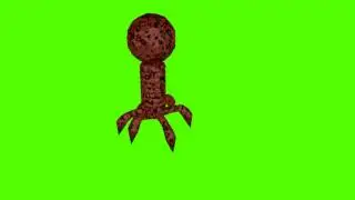 Green Screen Virus/Bacteria