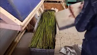 Пропаривание Лозинки