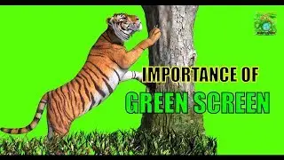 What is Chroma Key/Green Screen? (Tools for Beginners in Filmmaking)