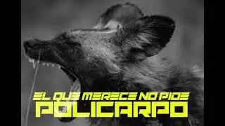 Policarpo - EL QUE MERECE NO PIDE (Prod. JaleoBeats) 750.