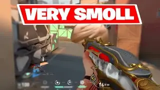 Smooth aim, smoll brain