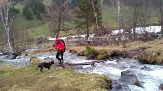Джуно переправляется через ручей