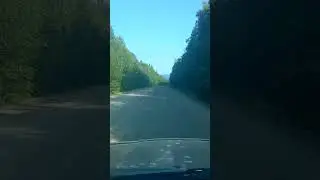 5 сентября 2024 г.