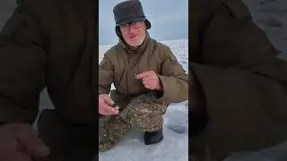 день зимней рыбалки
