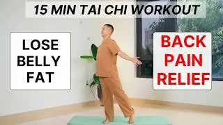 15 Min Gentle Tai Chi for Belly Fat & Back Pain Relief - BEGINNER FRIENDLY | No Jump Workout