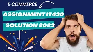 IT430 Assignment 1 2023 | 100%  Correct solution | By 