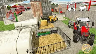 Move out, disinfect and prepare for more calves! | MY FARMING LIFE on The Northern Farms | #44
