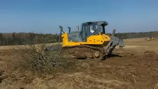 Бульдозер Дст урал д10 корчевка.