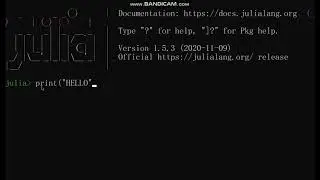 print ()Function In Julia