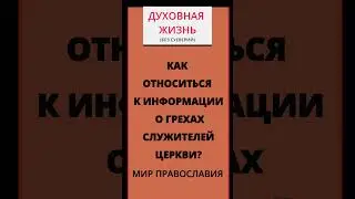 Как относиться к информации о грехах служителей Церкви
