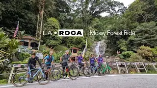 Mossy Forest Ride