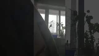 Сири начинает разговаривать