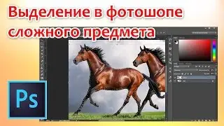 Выделение в фотошопе сложного предмета